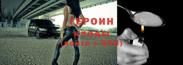 прущие грибы Богданович
