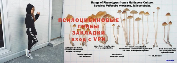спиды Богородицк