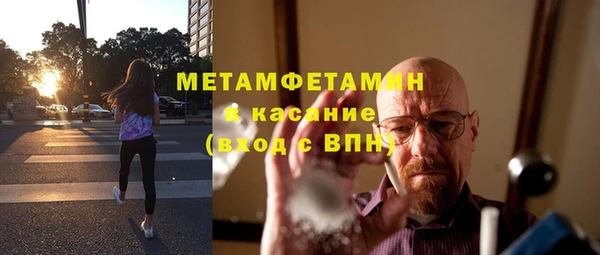 прущие грибы Богданович
