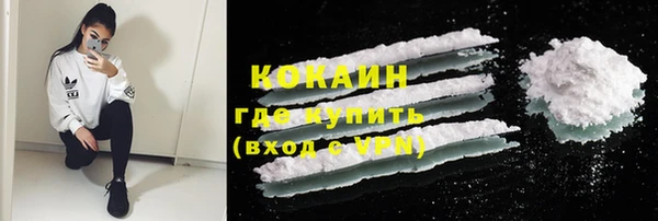 спиды Богородицк
