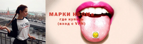 прущие грибы Богданович