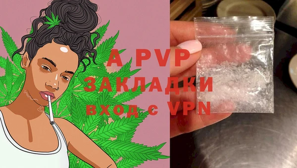 прущие грибы Богданович