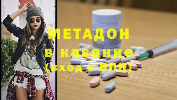 прущие грибы Богданович
