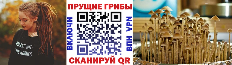 Псилоцибиновые грибы ЛСД  Мышкин 